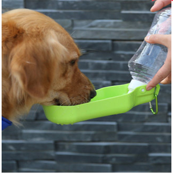 Drinking bottle outdoor for your puppy